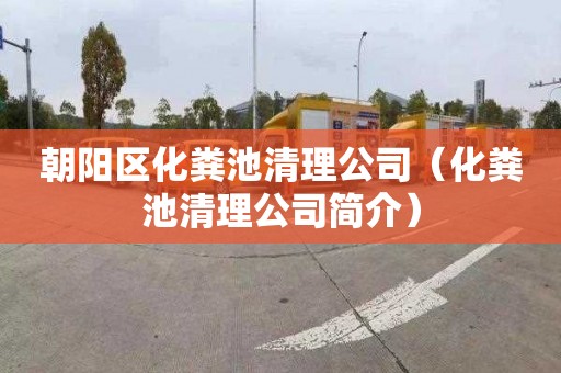 朝阳区化粪池清理公司（化粪池清理公司简介）