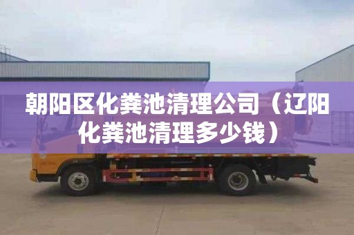 朝阳区化粪池清理公司（辽阳化粪池清理多少钱）