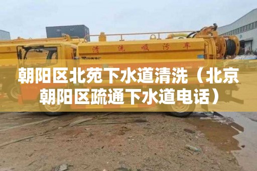 朝阳区北苑下水道清洗（北京朝阳区疏通下水道电话）
