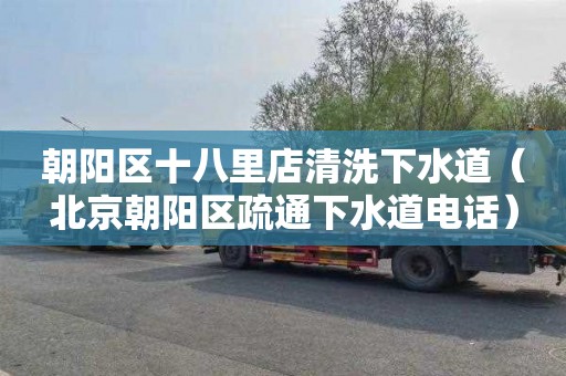 朝阳区十八里店清洗下水道（北京朝阳区疏通下水道电话）