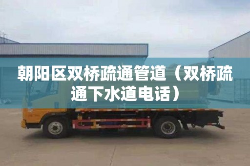 朝阳区双桥疏通管道（双桥疏通下水道电话）