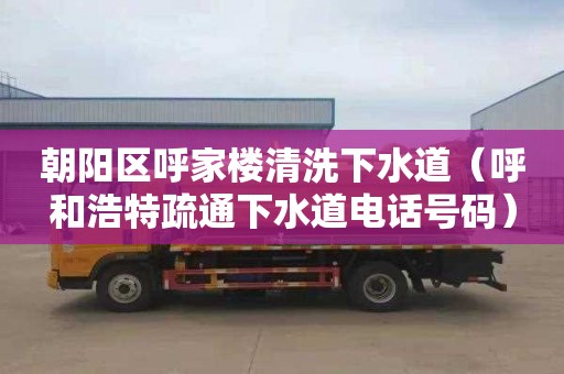 朝阳区呼家楼清洗下水道（呼和浩特疏通下水道电话号码）
