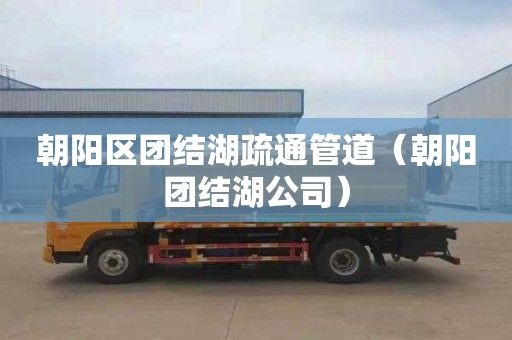 朝阳区团结湖疏通管道（朝阳团结湖公司）