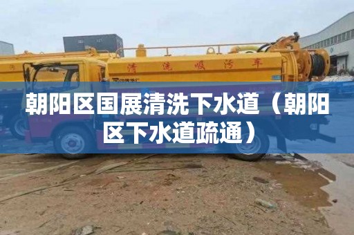 朝阳区国展清洗下水道（朝阳区下水道疏通）