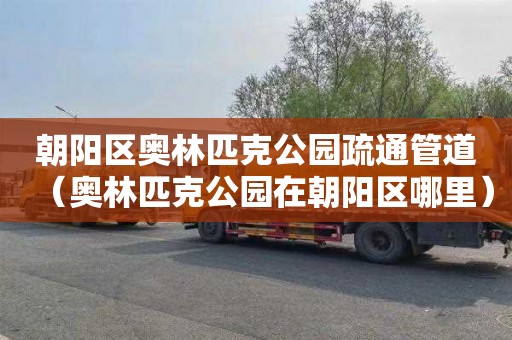 朝阳区奥林匹克公园疏通管道（奥林匹克公园在朝阳区哪里）