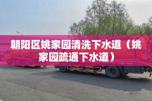 朝阳区姚家园清洗下水道（姚家园疏通下水道）