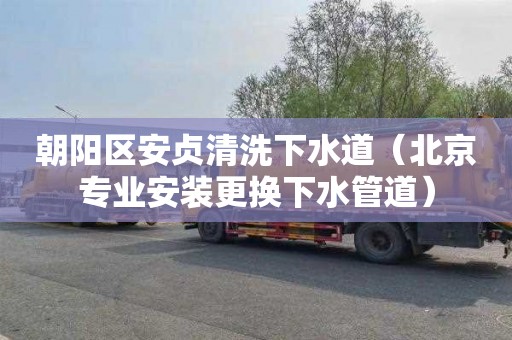 朝阳区安贞清洗下水道（北京专业安装更换下水管道）
