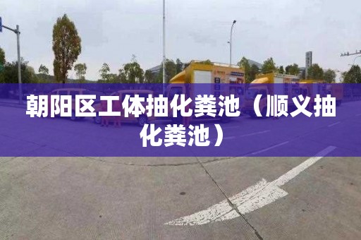朝阳区工体抽化粪池（顺义抽化粪池）