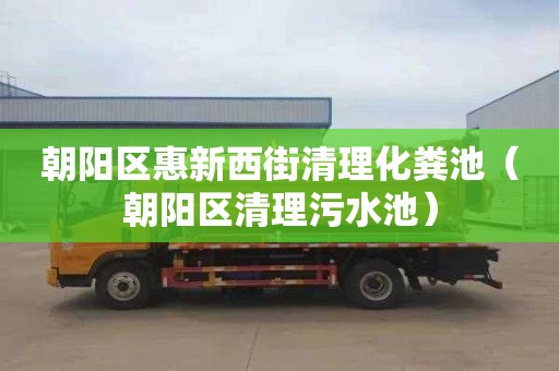 朝阳区惠新西街清理化粪池（朝阳区清理污水池）