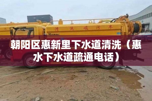 朝阳区惠新里下水道清洗（惠水下水道疏通电话）