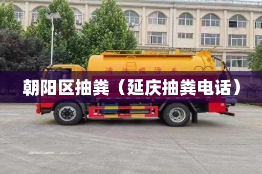 朝阳区抽粪（延庆抽粪电话）