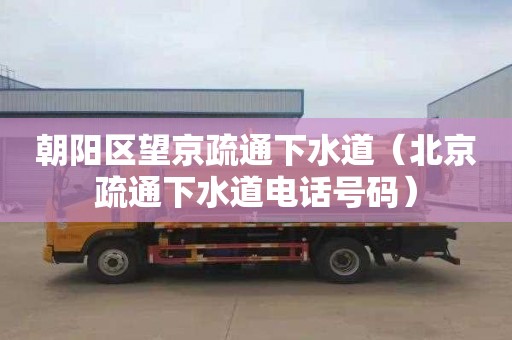 朝阳区望京疏通下水道（北京疏通下水道电话号码）