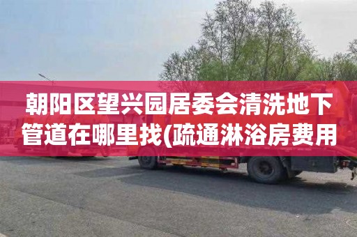 朝阳区望兴园居委会清洗地下管道在哪里找(疏通淋浴房费用)