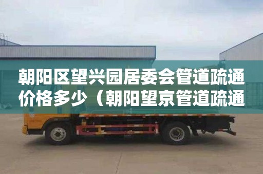 朝阳区望兴园居委会管道疏通价格多少（朝阳望京管道疏通）