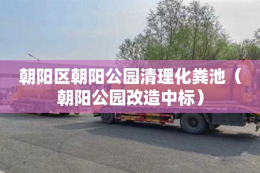 朝阳区朝阳公园清理化粪池（朝阳公园改造中标）