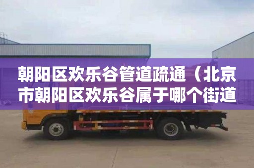 朝阳区欢乐谷管道疏通（北京市朝阳区欢乐谷属于哪个街道）