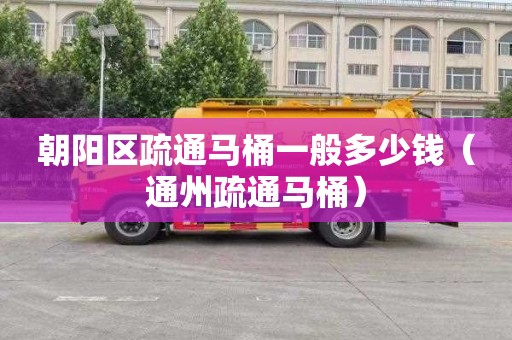 朝阳区疏通马桶一般多少钱（通州疏通马桶）