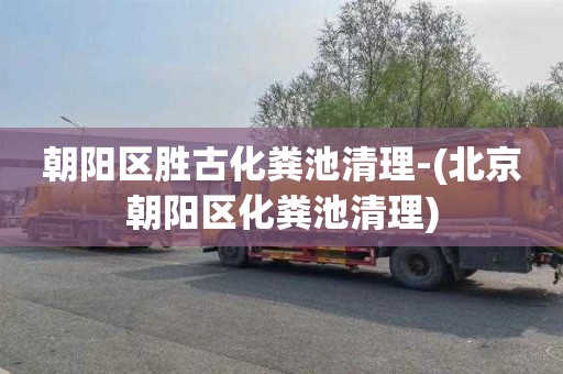 朝阳区胜古化粪池清理-(北京朝阳区化粪池清理)