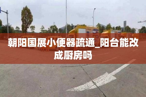 朝阳国展小便器疏通_阳台能改成厨房吗