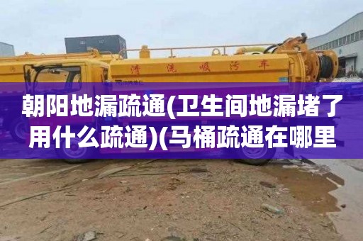 朝阳地漏疏通(卫生间地漏堵了用什么疏通)(马桶疏通在哪里找)