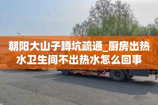 朝阳大山子蹲坑疏通_厨房出热水卫生间不出热水怎么回事