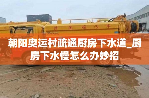 朝阳奥运村疏通厨房下水道_厨房下水慢怎么办妙招