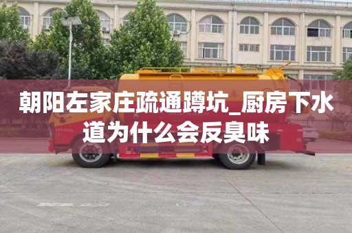 朝阳左家庄疏通蹲坑_厨房下水道为什么会反臭味