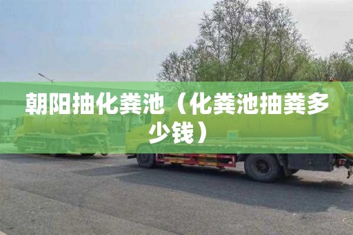 朝阳抽化粪池（化粪池抽粪多少钱）