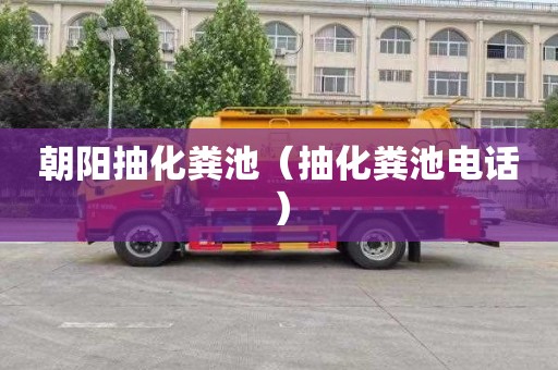 朝阳抽化粪池（抽化粪池电话）