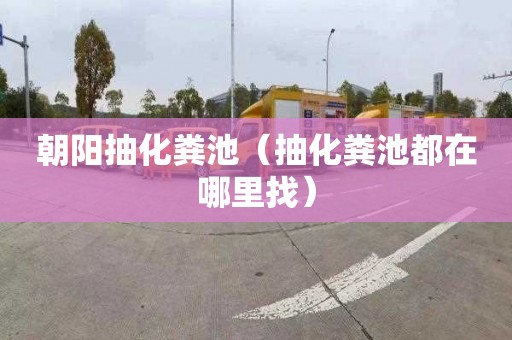 朝阳抽化粪池（抽化粪池都在哪里找）