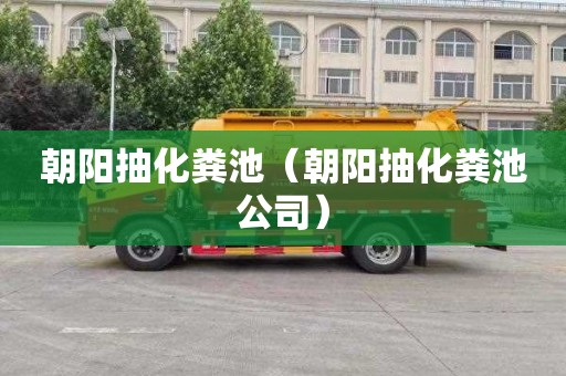 朝阳抽化粪池（朝阳抽化粪池公司）