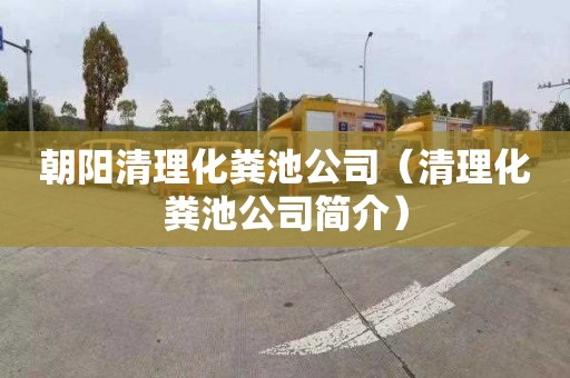 朝阳清理化粪池公司（清理化粪池公司简介）