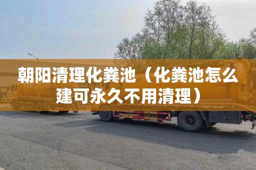 朝阳清理化粪池（化粪池怎么建可永久不用清理）