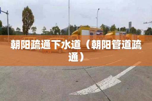 朝阳疏通下水道（朝阳管道疏通）
