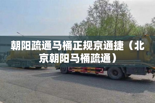 朝阳疏通马桶正规京通捷（北京朝阳马桶疏通）