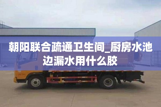 朝阳联合疏通卫生间_厨房水池边漏水用什么胶