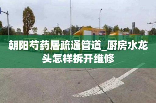 朝阳芍药居疏通管道_厨房水龙头怎样拆开维修
