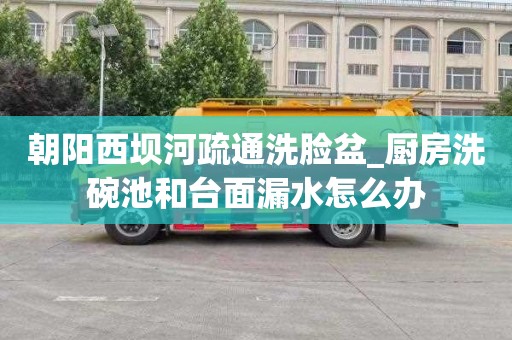 朝阳西坝河疏通洗脸盆_厨房洗碗池和台面漏水怎么办