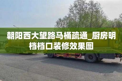 朝阳西大望路马桶疏通_厨房明档档口装修效果图