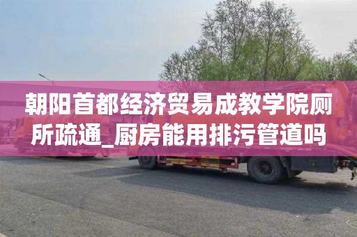 朝阳首都经济贸易成教学院厕所疏通_厨房能用排污管道吗