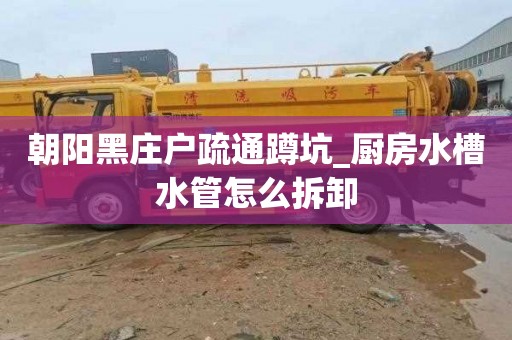 朝阳黑庄户疏通蹲坑_厨房水槽水管怎么拆卸