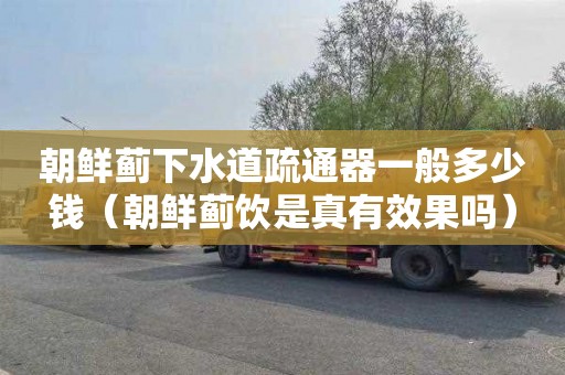 朝鲜蓟下水道疏通器一般多少钱（朝鲜蓟饮是真有效果吗）