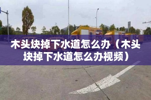 木头块掉下水道怎么办（木头块掉下水道怎么办视频）