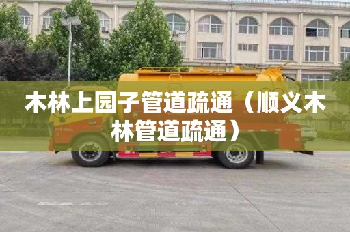 木林上园子管道疏通（顺义木林管道疏通）