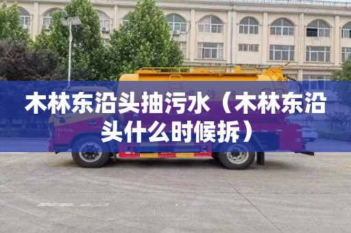 木林东沿头抽污水（木林东沿头什么时候拆）