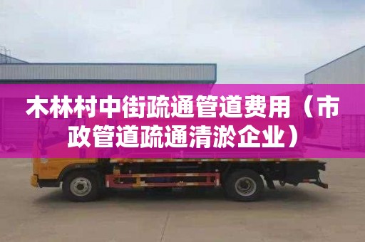 木林村中街疏通管道费用（市政管道疏通清淤企业）