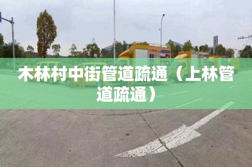 木林村中街管道疏通（上林管道疏通）