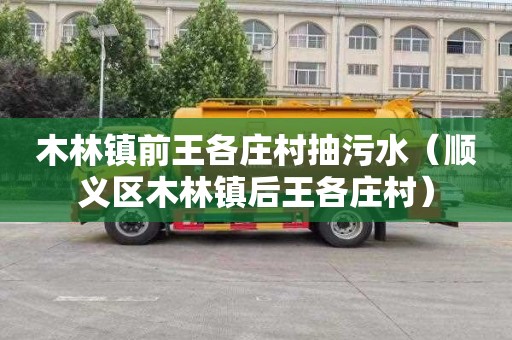 木林镇前王各庄村抽污水（顺义区木林镇后王各庄村）