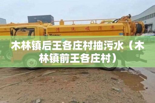 木林镇后王各庄村抽污水（木林镇前王各庄村）