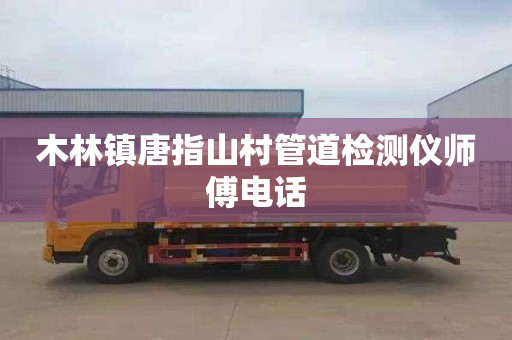 木林镇唐指山村管道检测仪师傅电话